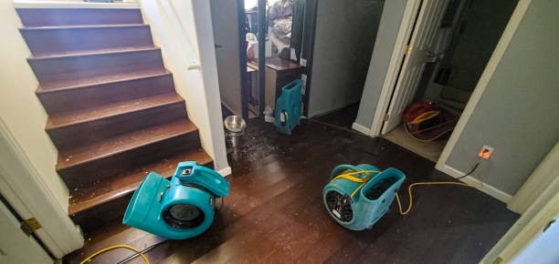 Best 24-hour water damage restoration  in Fairforest, SC