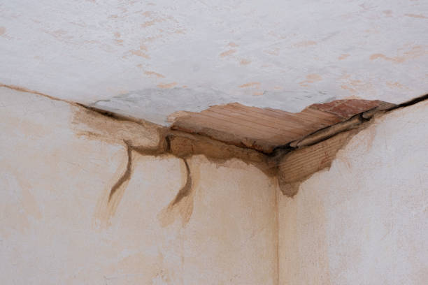 Best Local water damage restoration  in Fairforest, SC