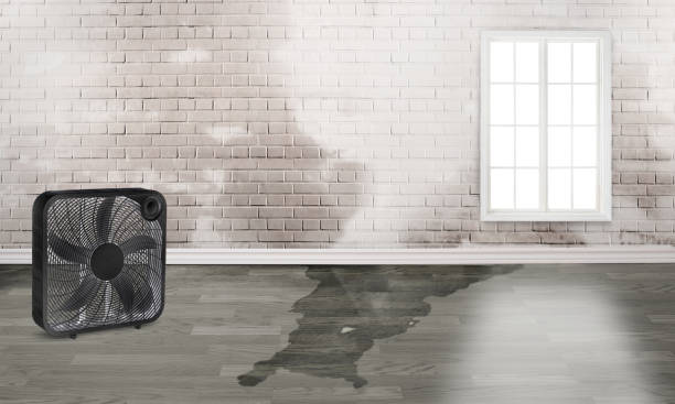 Reliable Fairforest, SC Water damage restoration Solutions