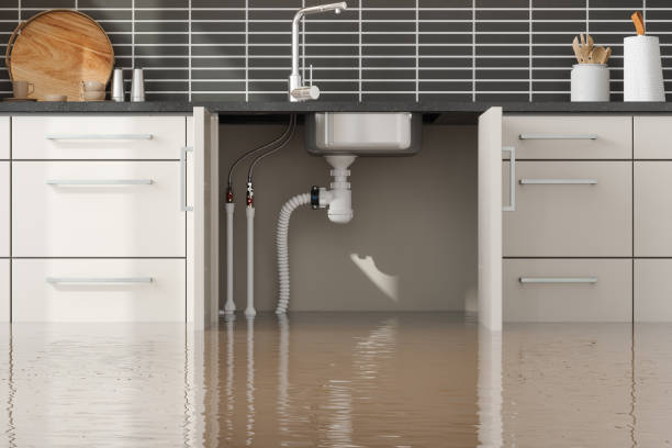 Best 24/7 water damage repair  in Fairforest, SC