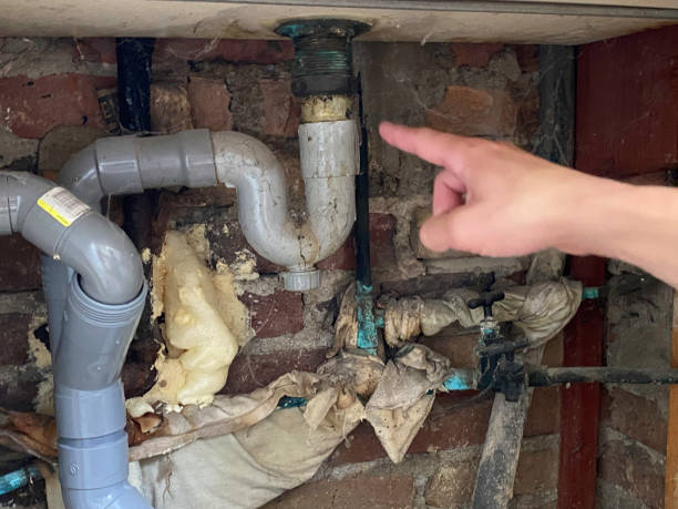 Best Ceiling water damage repair  in Fairforest, SC