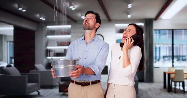 Best Water damage mitigation services  in Fairforest, SC