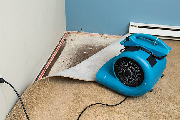 Best Water damage contractors near me  in Fairforest, SC